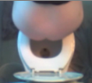 A voyeur, spycam type video clip with full audio showing a woman from overhead taking a dump with full audio.